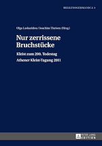 Télécharger le livre :  Nur zerrissene Bruchstuecke