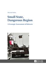 Télécharger le livre :  Small State, Dangerous Region