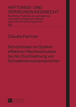 Télécharger le livre :  Schutzluecken im System effektiven Rechtsschutzes bei der Durchsetzung von Schadensersatzanspruechen