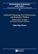 Télécharger le livre :  Industrial Clustering, Firm Performance and Employee Welfare