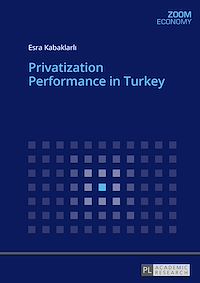 Télécharger le livre :  Privatization Performance in Turkey