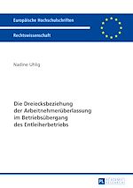 Télécharger le livre :  Die Dreiecksbeziehung der Arbeitnehmerueberlassung im Betriebsuebergang des Entleiherbetriebs