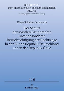 Télécharger le livre :  Der Schutz der sozialen Grundrechte unter besonderer Beruecksichtigung der Rechtslage in der Bundesrepublik Deutschland und in der Republik Chile