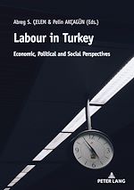 Télécharger le livre :  Labour in Turkey