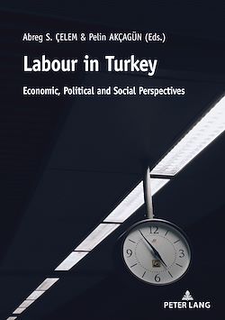 Télécharger le livre :  Labour in Turkey