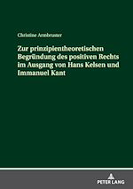 Télécharger le livre :  Zur prinzipientheoretischen Begruendung des positiven Rechts im Ausgang von Hans Kelsen und Immanuel Kant