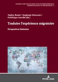 Télécharger le livre :  Traduire l'expérience migratoire