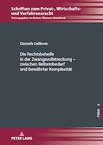 Télécharger le livre :  Die Rechtsbehelfe in der Zwangsvollstreckung – zwischen Reformbedarf und bewaehrter Komplexitaet