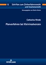 Télécharger le livre :  Planverfahren bei Kleininsolvenzen