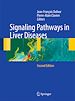 Télécharger le livre :  Signaling Pathways in Liver Diseases