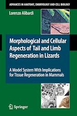Télécharger le livre :  Morphological and Cellular Aspects of Tail and Limb Regeneration in Lizards