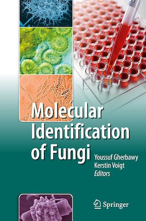 Téléchargez le livre :  Molecular Identification of Fungi