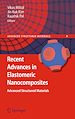 Télécharger le livre :  Recent Advances in Elastomeric Nanocomposites