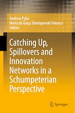 Télécharger le livre :  Catching Up, Spillovers and Innovation Networks in a Schumpeterian Perspective