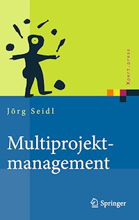 Télécharger le livre :  Multiprojektmanagement