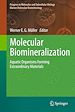 Télécharger le livre :  Molecular Biomineralization