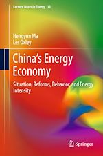 Download this eBook China’s Energy Economy