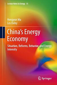 Télécharger le livre :  China’s Energy Economy