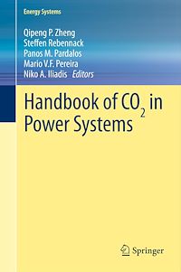 Télécharger le livre :  Handbook of CO2 in Power Systems