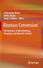 Télécharger le livre :  Biomass Conversion