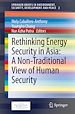Télécharger le livre :  Rethinking Energy Security in Asia: A Non-Traditional View of Human Security
