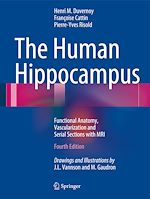 Télécharger le livre :  The Human Hippocampus
