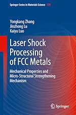 Télécharger le livre :  Laser Shock Processing of FCC Metals