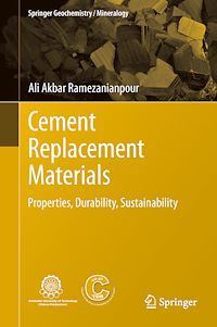 Télécharger le livre :  Cement Replacement Materials