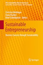 Télécharger le livre :  Sustainable Entrepreneurship