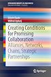 Télécharger le livre :  Creating Conditions for Promising Collaboration