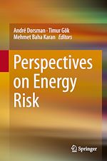 Télécharger le livre :  Perspectives on Energy Risk