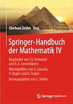 Download this eBook Springer-Handbuch der Mathematik IV