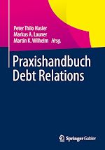 Télécharger le livre :  Praxishandbuch Debt Relations