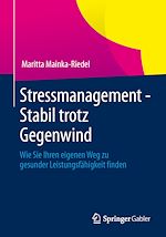 Télécharger le livre :  Stressmanagement - Stabil trotz Gegenwind