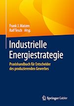 Télécharger le livre :  Industrielle Energiestrategie