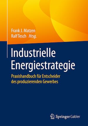 Téléchargez le livre :  Industrielle Energiestrategie