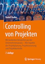 Download this eBook Controlling von Projekten
