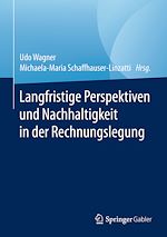 Télécharger le livre :  Langfristige Perspektiven und Nachhaltigkeit in der Rechnungslegung