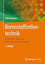 Download this eBook Brennstoffzellentechnik