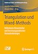 Télécharger le livre :  Triangulation und Mixed-Methods