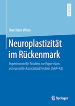 Télécharger le livre :  Neuroplastizität im Rückenmark