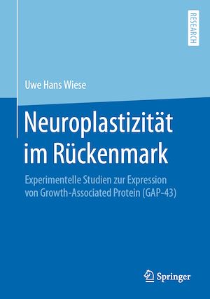 Téléchargez le livre :  Neuroplastizität im Rückenmark