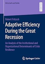 Download this eBook Adaptive Efficiency During the Great Recession
