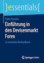 Télécharger le livre :  Einführung in den Devisenmarkt Forex