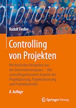 Download this eBook Controlling von Projekten
