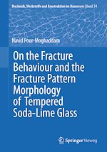 Télécharger le livre :  On the Fracture Behaviour and the Fracture Pattern Morphology of Tempered Soda-Lime Glass