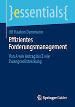 Télécharger le livre :  Effizientes Forderungsmanagement