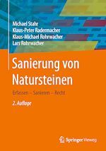 Download this eBook Sanierung von Natursteinen