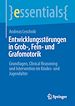 Télécharger le livre :  Entwicklungsstörungen in Grob-, Fein- und Grafomotorik