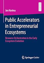 Download this eBook Public Accelerators in Entrepreneurial Ecosystems